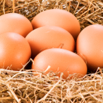 Choose Wisely – Eggs