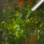 collard greens collard greens