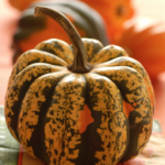 healthy thanksgiving appetizers healthy thanksgiving appetizers