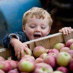 iStock_000006865815XSmall