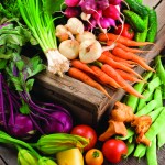 Farmer's Market - Organic Vegetables